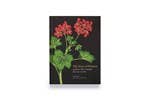 The Story of Flowers