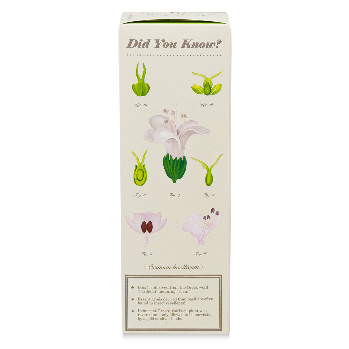 Fresh Picked Basil Diffuser 4 oz