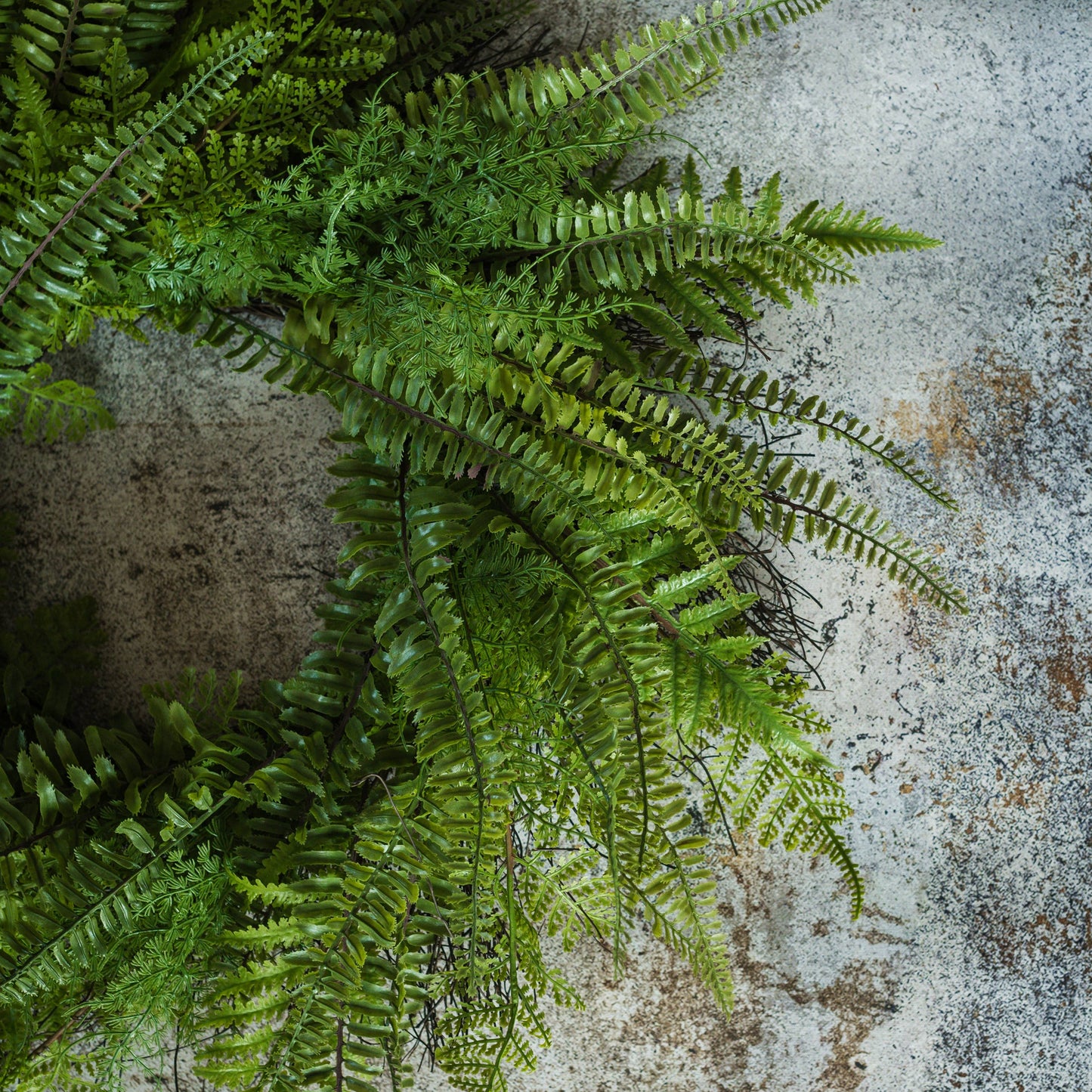 26" LACEY FERN WREATH