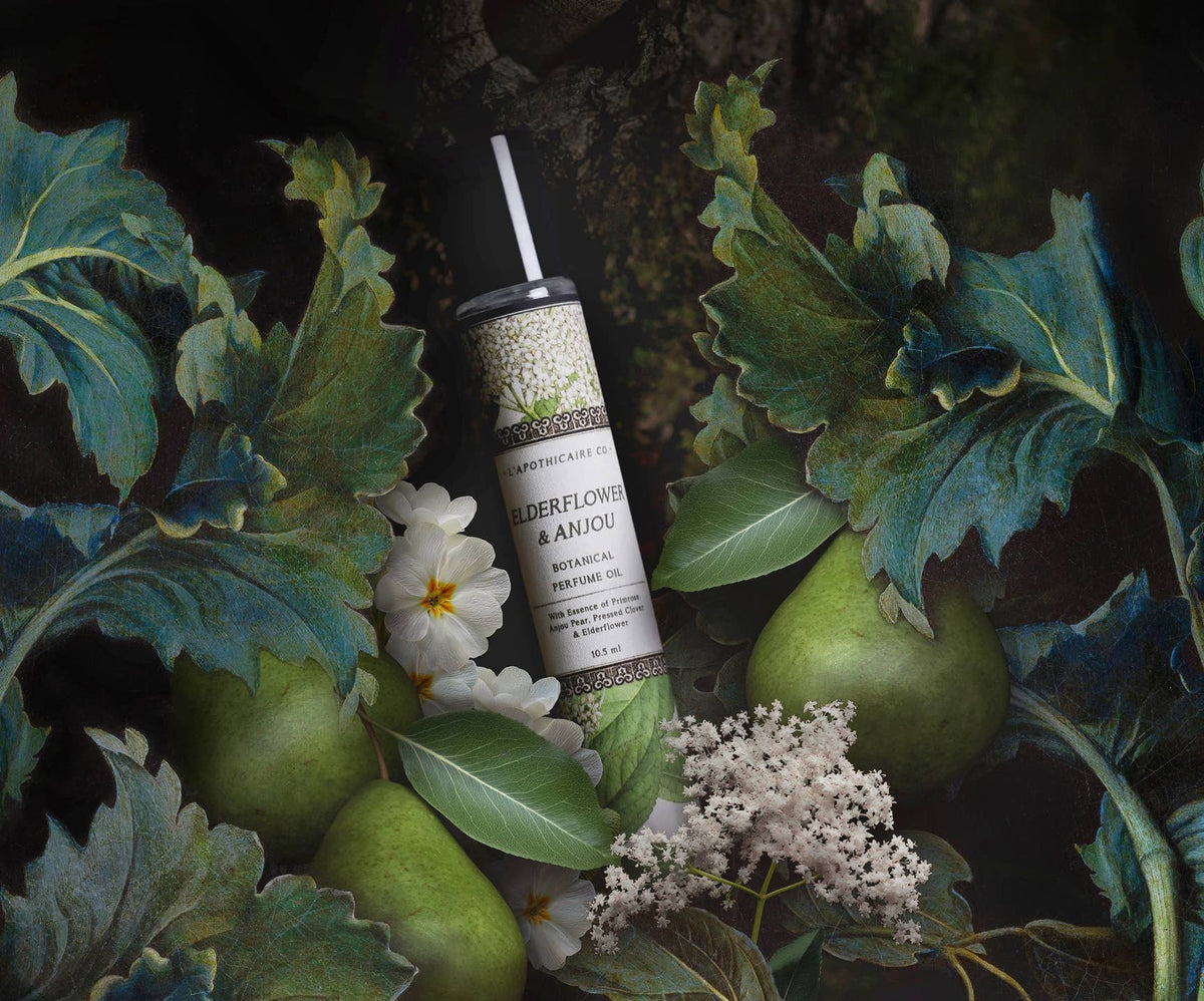 BOTANICA | Elderflower + Anjou | Perfume Oil