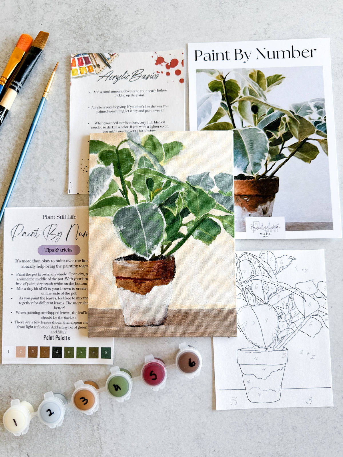 Plant Still Life Mini Paint By Number