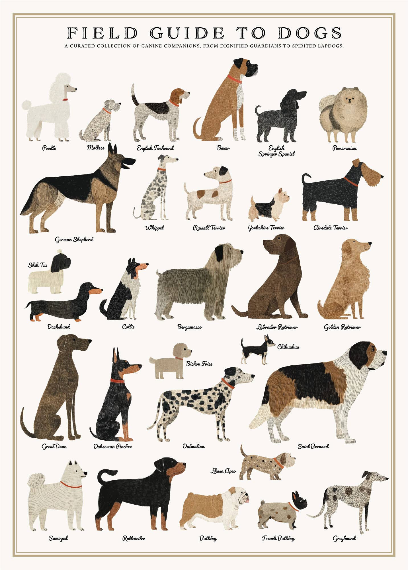 Vintage Posters Wrapping Paper - Dogs
