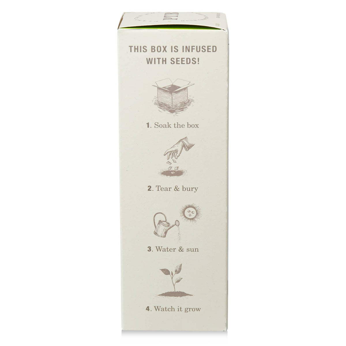 Fresh Picked Basil Diffuser 4 oz