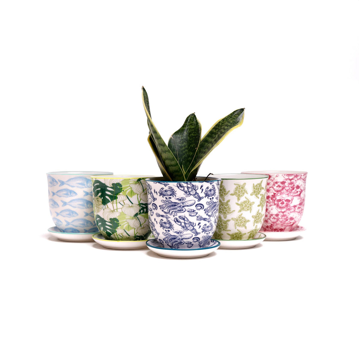 Liberte Indoor plant pots with drainage 3 & 5 inch planter