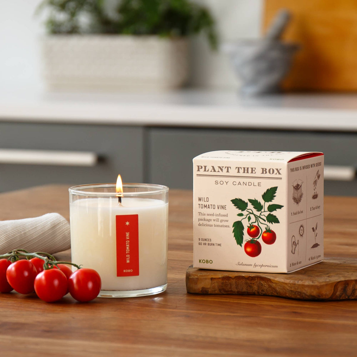 Wild Tomato Vine - Plant the Box Candle - 9oz.