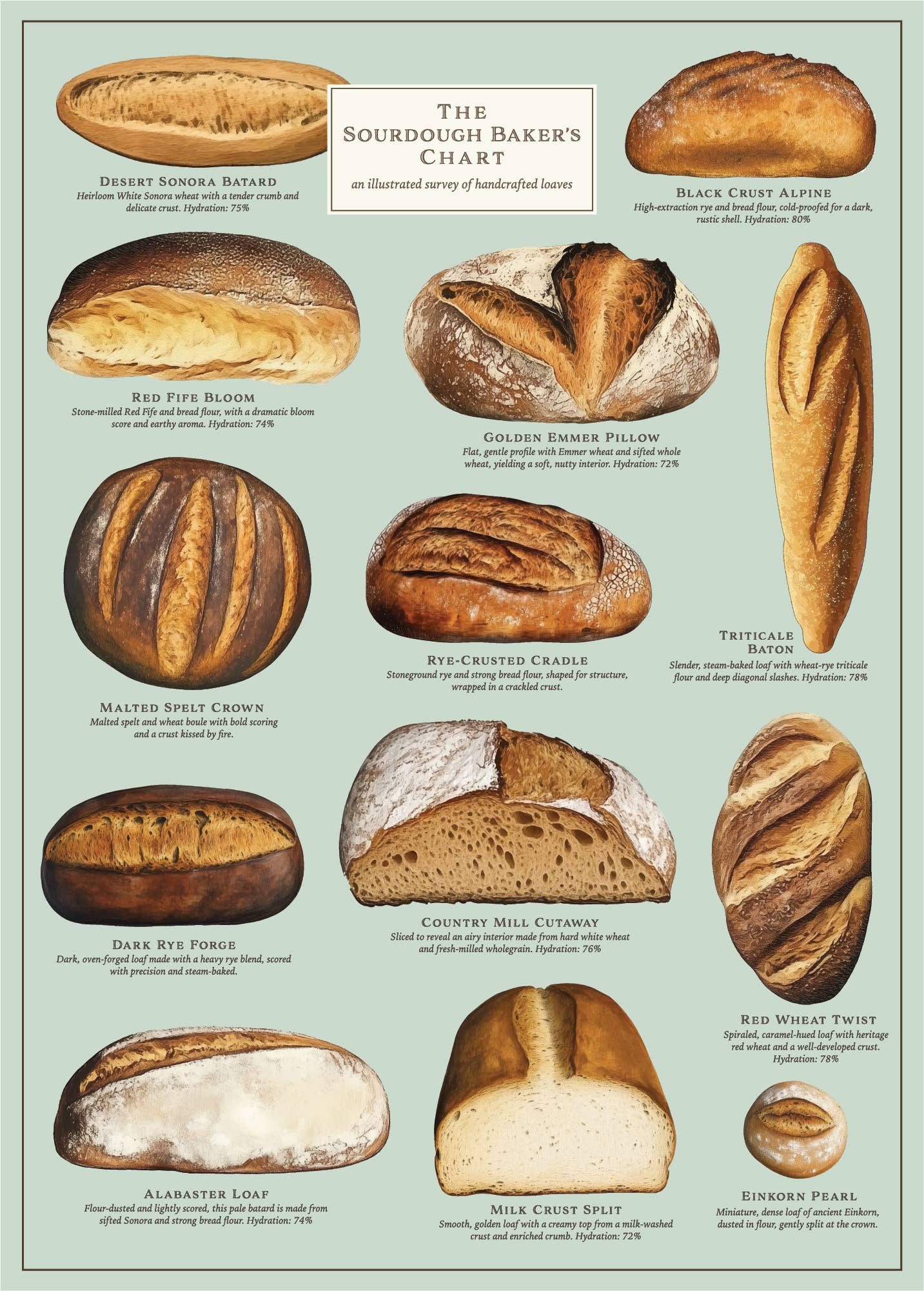 Vintage Posters Wrapping Paper - Sourdough Bread Chart