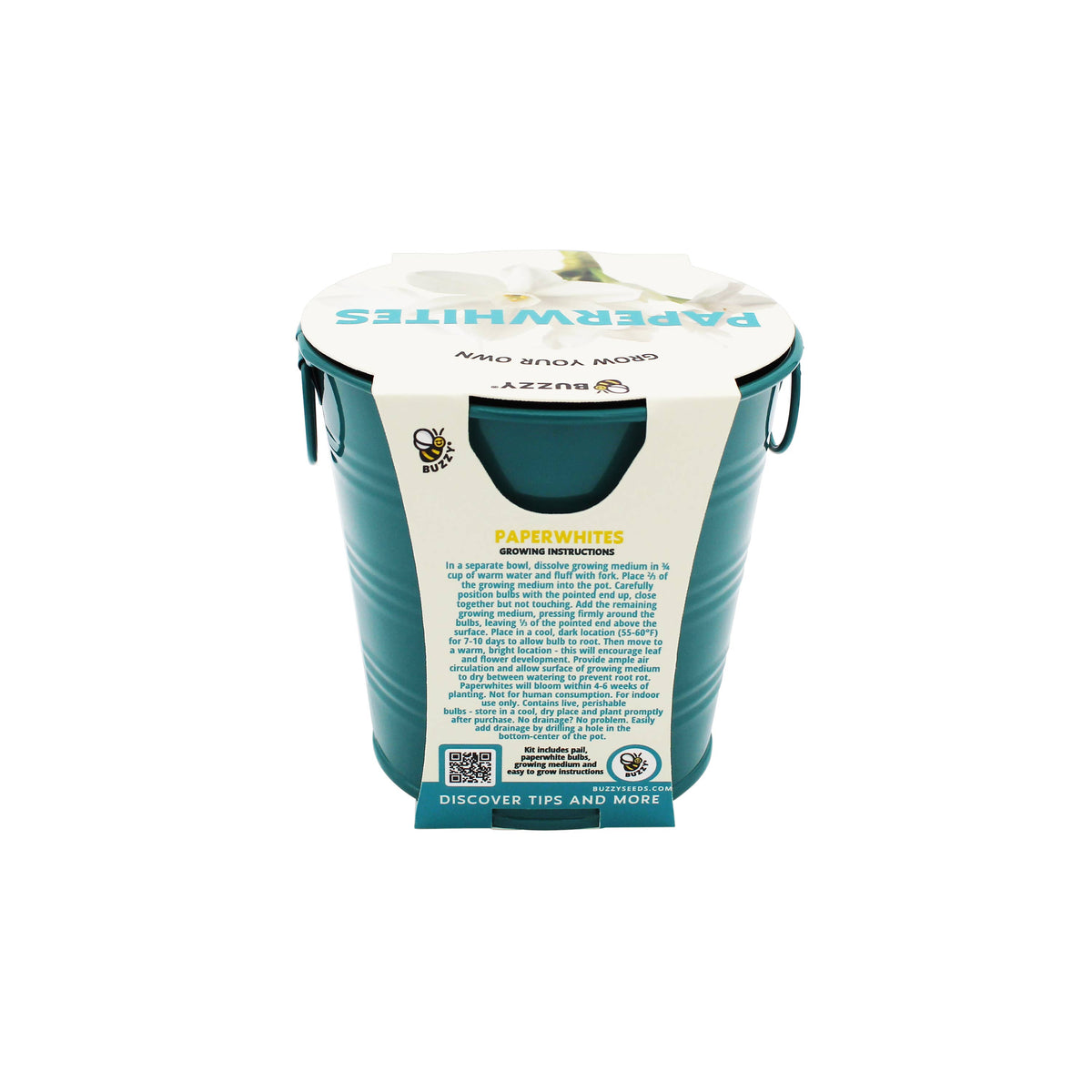 Holiday Paperwhite Bulb Grow Pail | Winter Flower Gift Kit