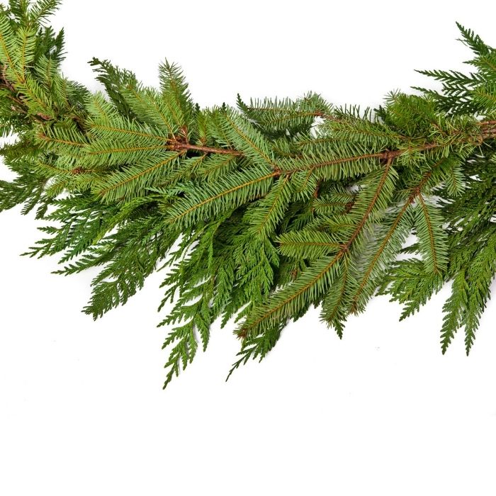 25-Foot Fresh Mixed-Evergreen Roping | Canopy Holiday Greens