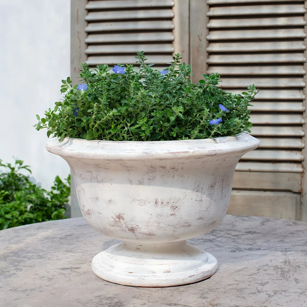 Margaux Urn Whitewash