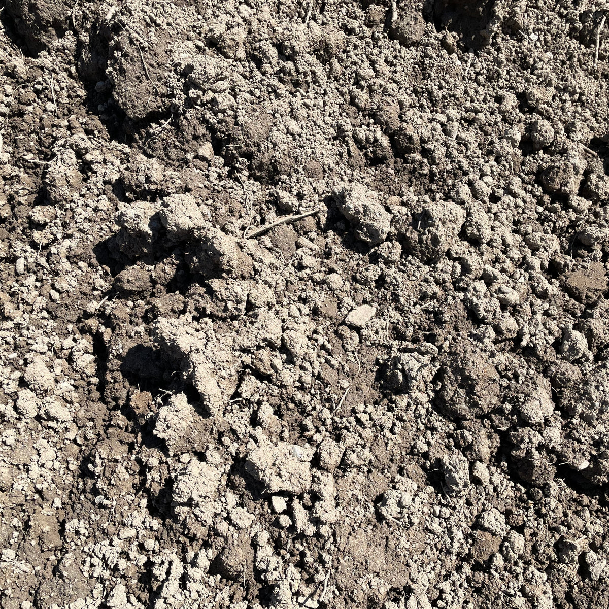 Bulk Screened Top Soil/Loam