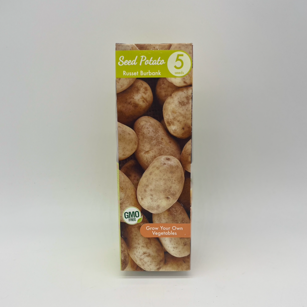 Potato - Russet Burbank | 5 Seeds