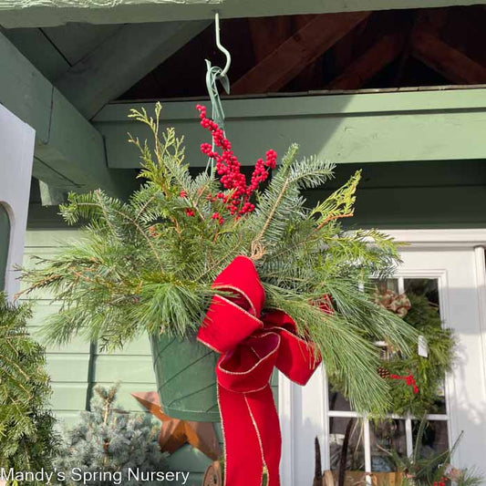 Holiday Hanging Basket - Mixed Greens & Berries (PRE-ORDER)