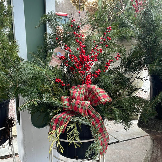 Patio Pot-Mixed Greens