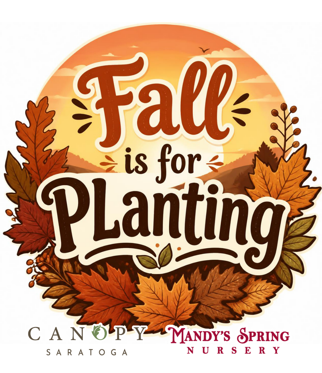 Why Fall Is the Best Time to Plant Trees, Shrubs, Bulbs & Perennials