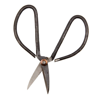 Edward Plant Scissors/ Gardening 
Plant Accessories