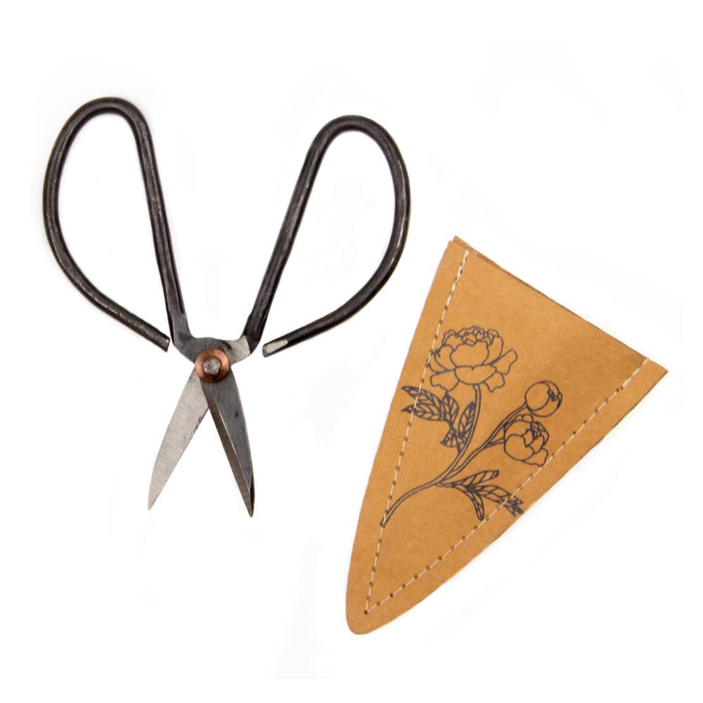 Edward Plant Scissors/ Gardening 
Plant Accessories