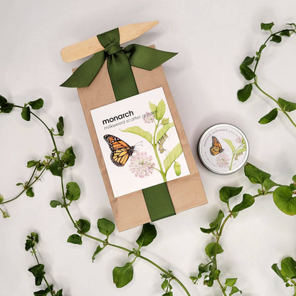 Garden Sprinkles | Monarch Butterfly Flower Garden | Spring