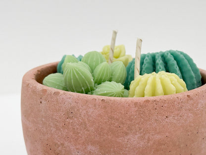 Succulent Candle - Concrete Plant Candle