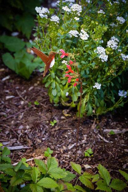 Hummingbird on Salvia Pick -Painted