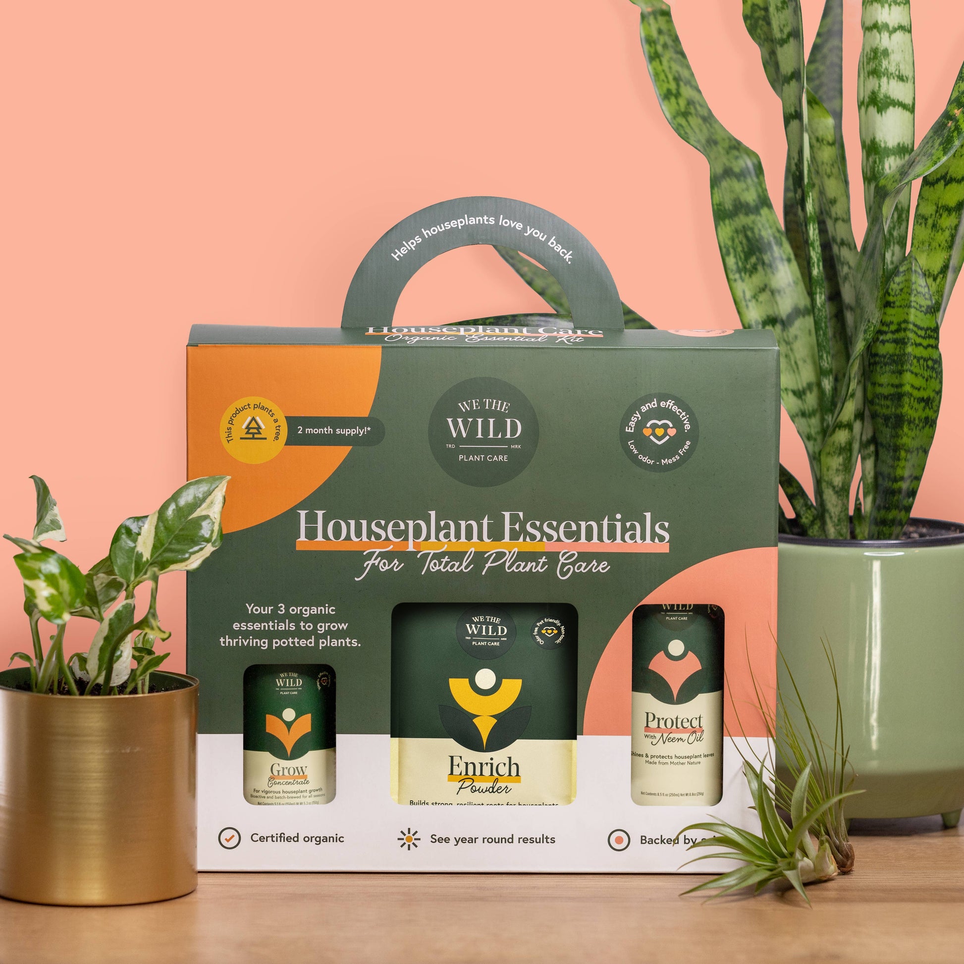 house plant starter kit Houseplant Care Kit