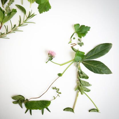 Garden in a Bag | Dog Grass | Spring Pet Treat Gift