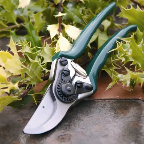 RHS Professional BP Secateur