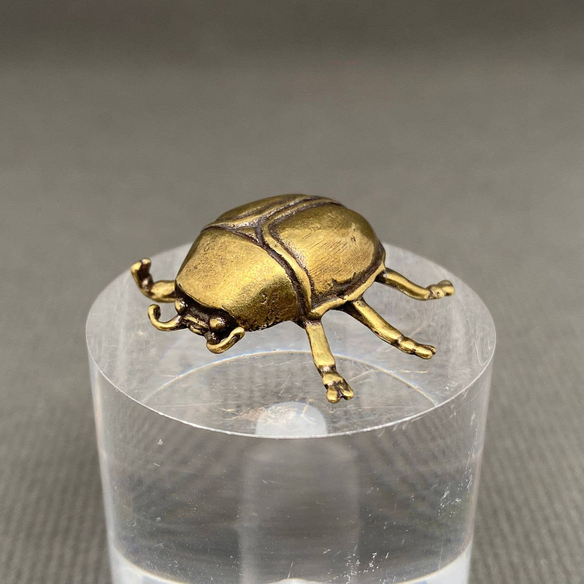 Brass Beetle Crafts Decoration Desktop Ornaments