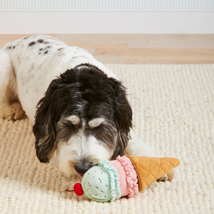 Ice Cream Interactive 2-in-1 Bounce Dog Toy