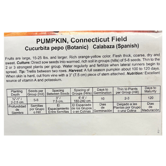 Pumpkin, Connecticut Field Seeds