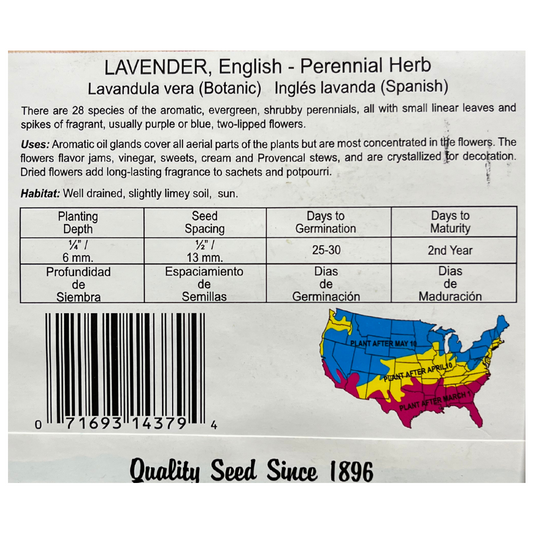 English Lavender - Herb Seeds