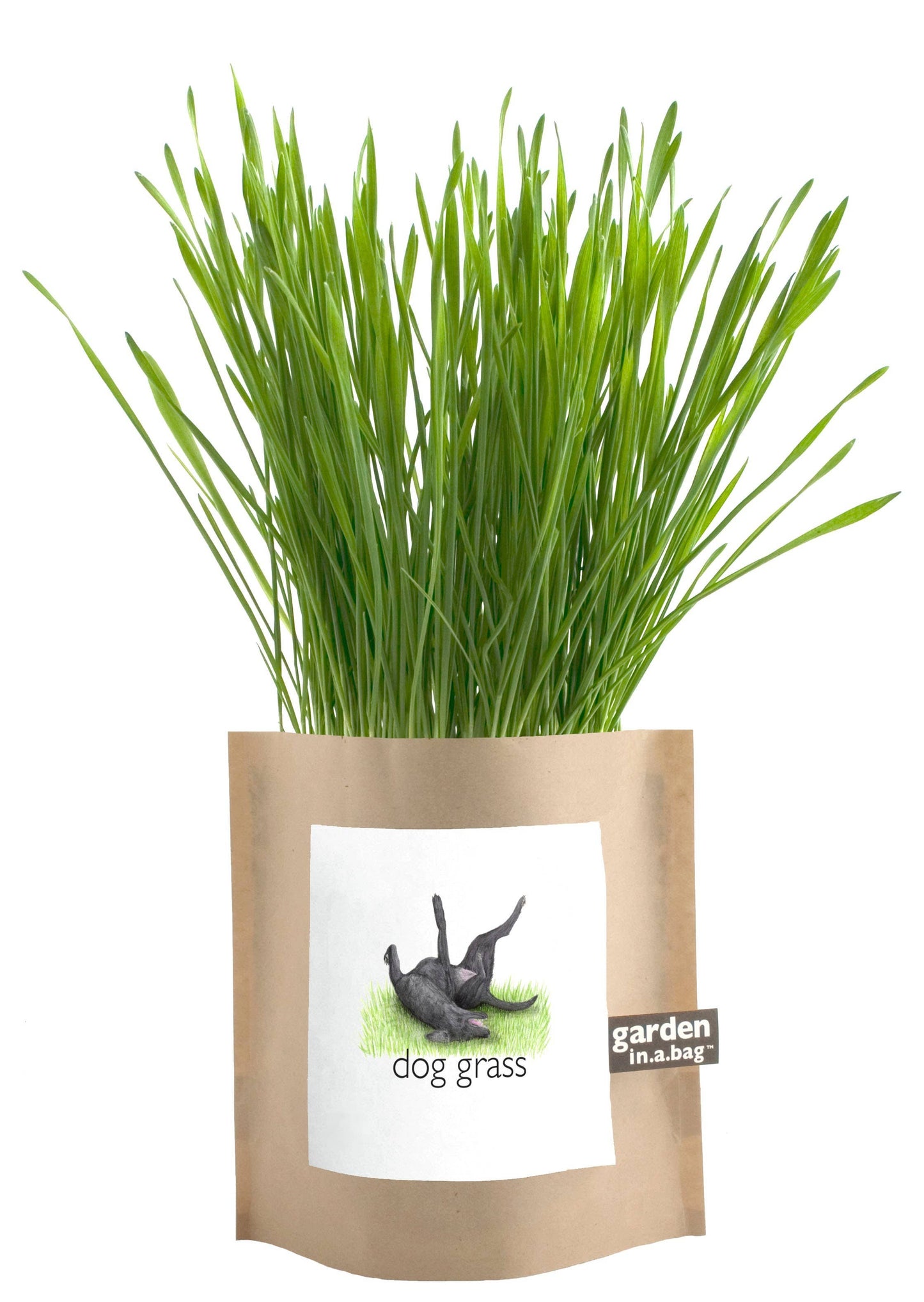 Garden in a Bag | Dog Grass | Spring Pet Treat Gift