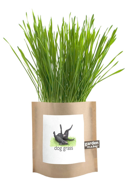 Garden in a Bag | Dog Grass | Spring Pet Treat Gift