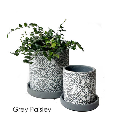 Balter Succulent Containers Cactus Pot And Saucer
