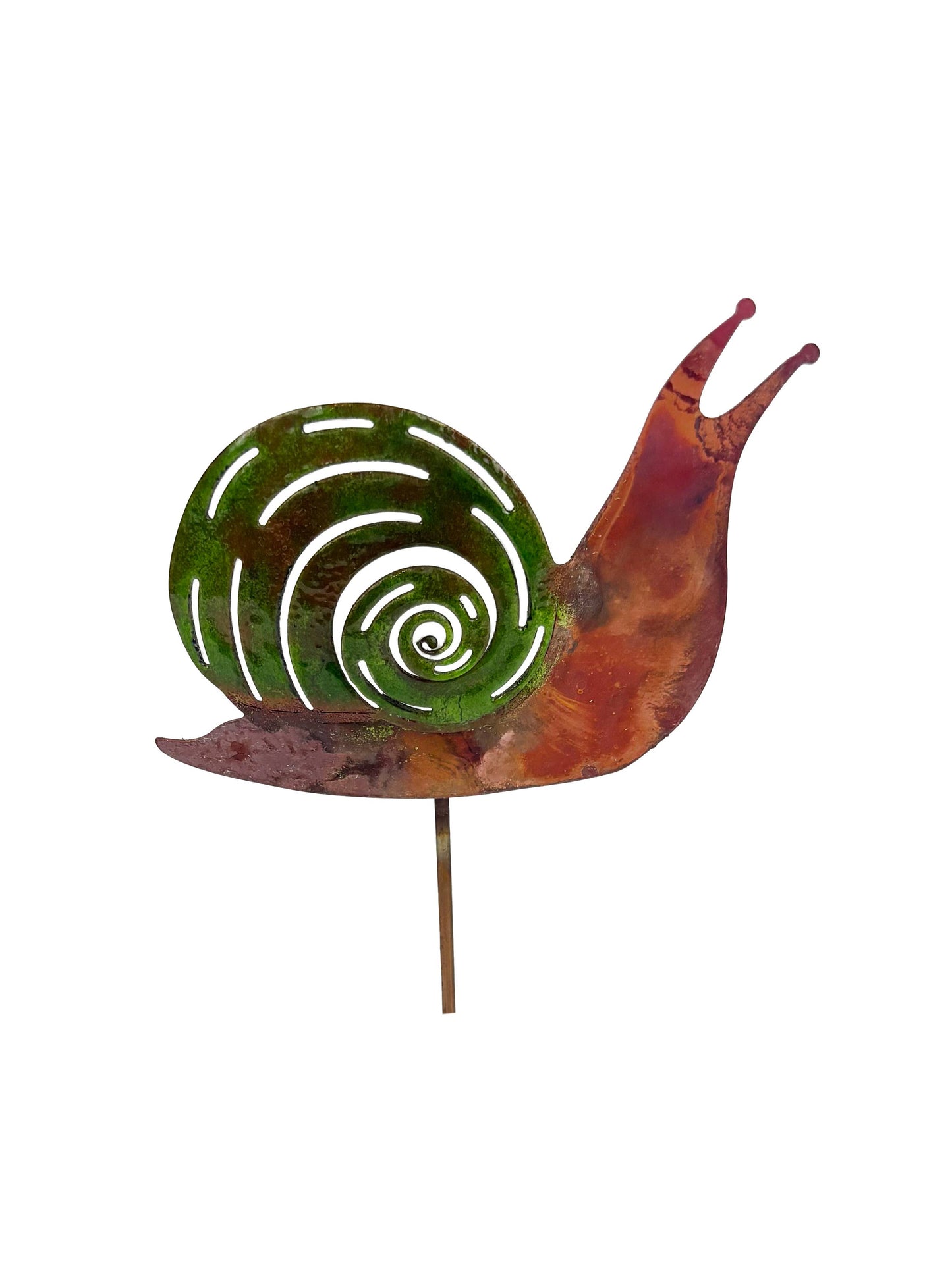 Enamel Snail