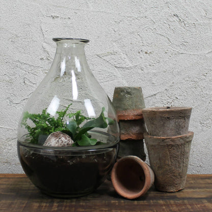 Terrarium, Glass