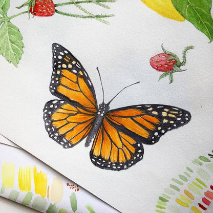 Garden Sprinkles | Butterfly Habitat Flower Garden | Spring