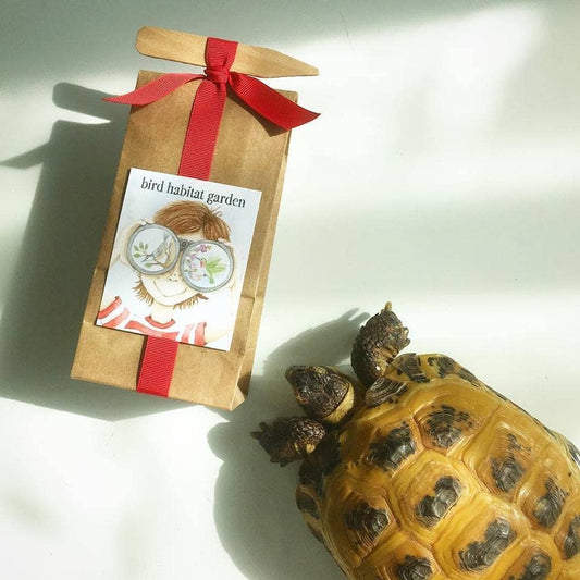 Kids Scatter Garden | Bird Habitat | Holiday Learning Gift