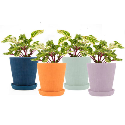Mick Planter Pots With Drainage Holes Bulk SALE SALE