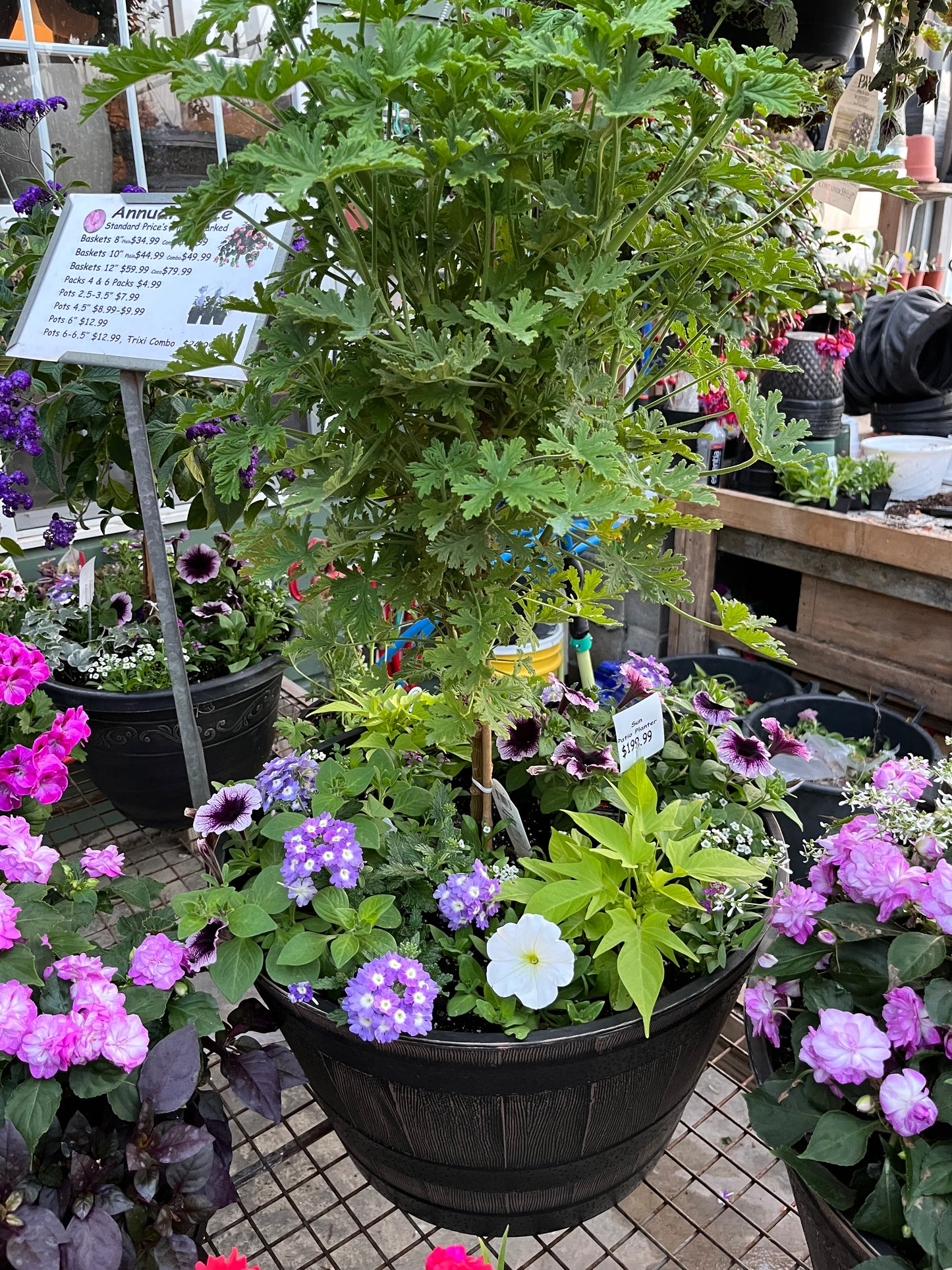 Combo Pots Assorted