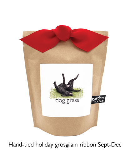 Garden in a Bag | Dog Grass | Spring Pet Treat Gift