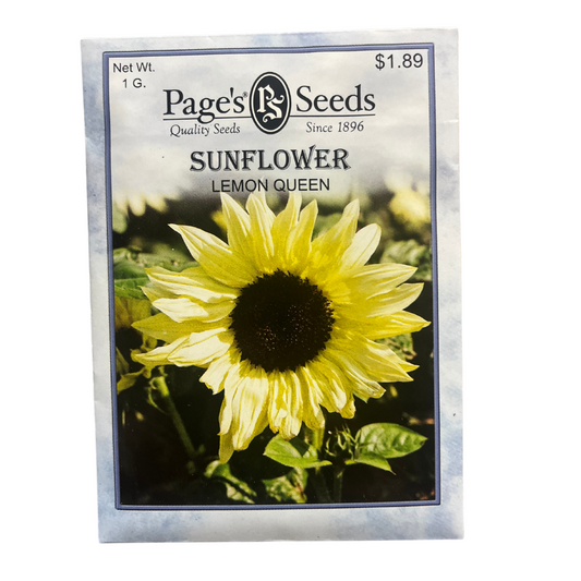Sunflower - Lemon Queen Seeds