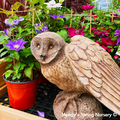 Barny Garden Statue
