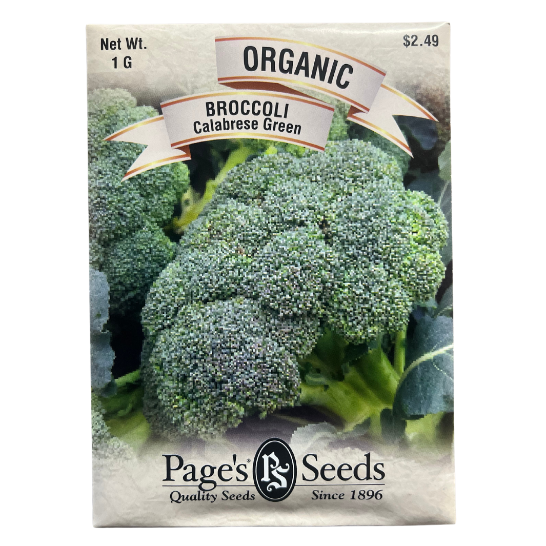 Broccoli - Calabrese Green Sprouting Seeds