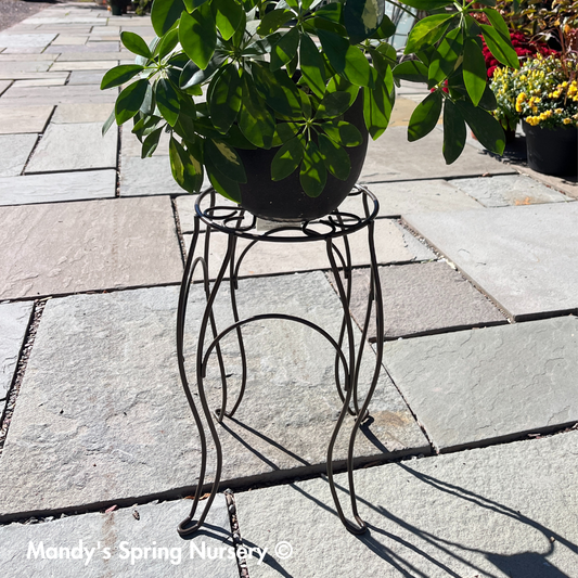Metal Plant Stand - 15"