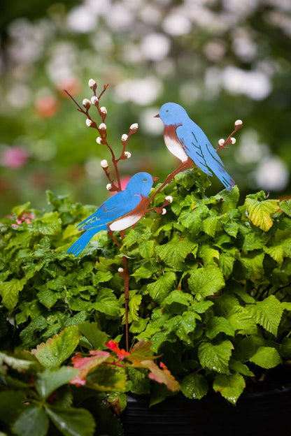 Bluebirds on Pussy Willow Pick -Painted