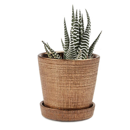 Mick Planter Pots With Drainage Holes Bulk SALE SALE