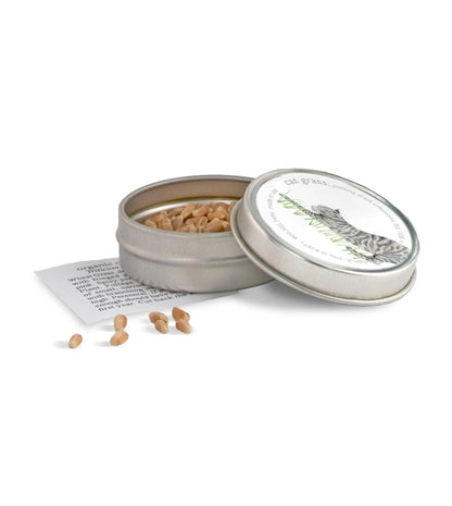 Garden Sprinkles Cat Grass | Organic Fall & Holiday Treat