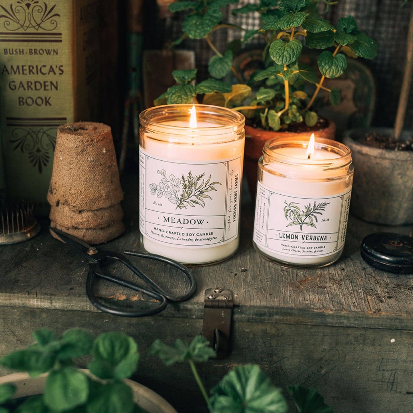 Soy Candle, Lemon Verbena, Fresh Scent