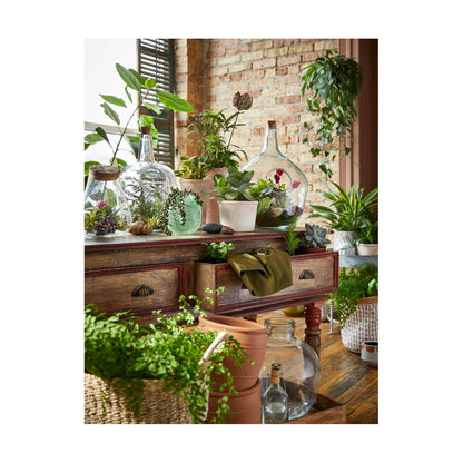 Recycled Glass Terrarium Large Clear Summer