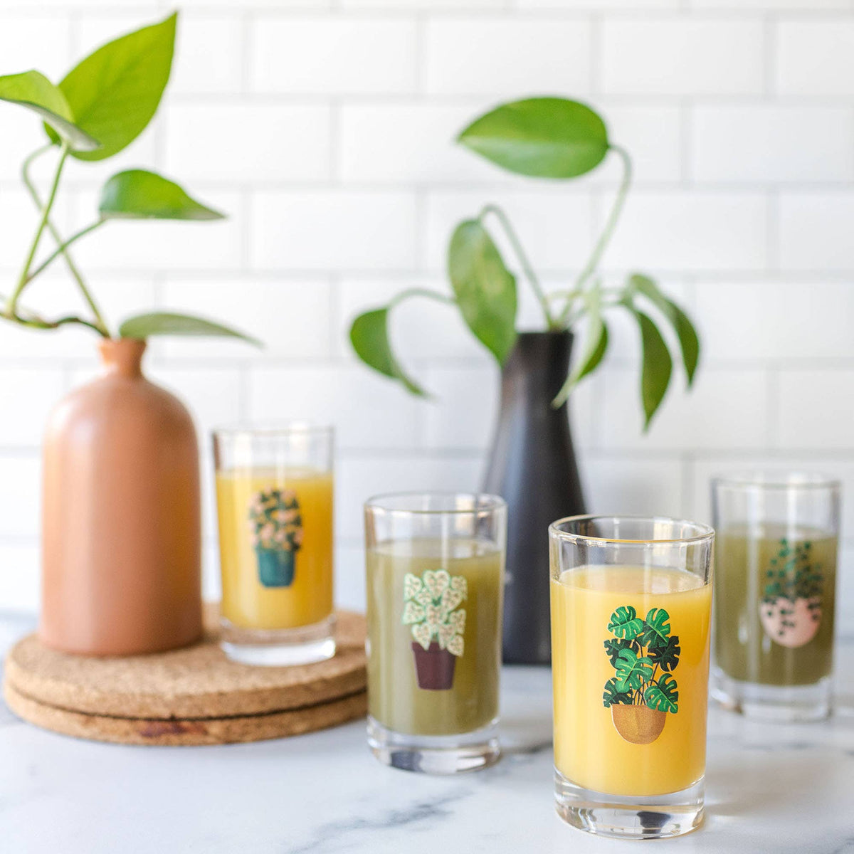Houseplants 6oz Mini Juice Glass Set